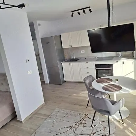 Studio Minimalist Apartment Timisoara